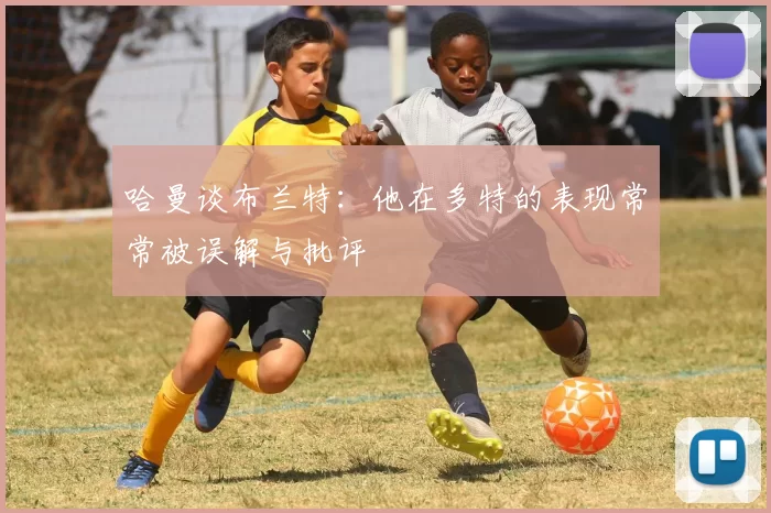 哈曼谈布兰特：他在多特的表现常常被误解与批评